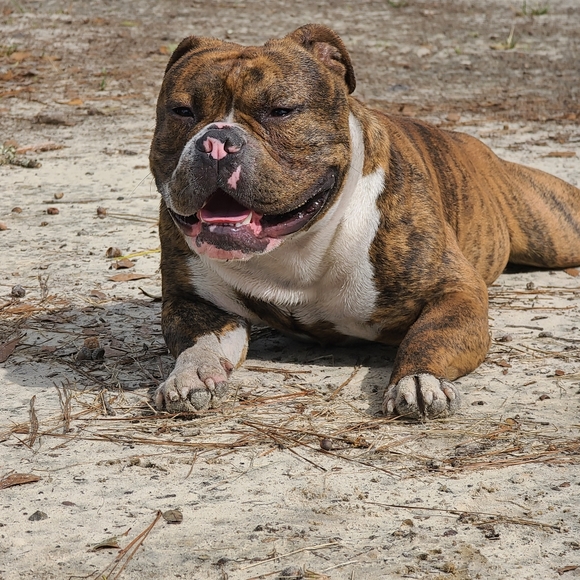 Meet your Posher, Cassondra - Picture 4 of 4